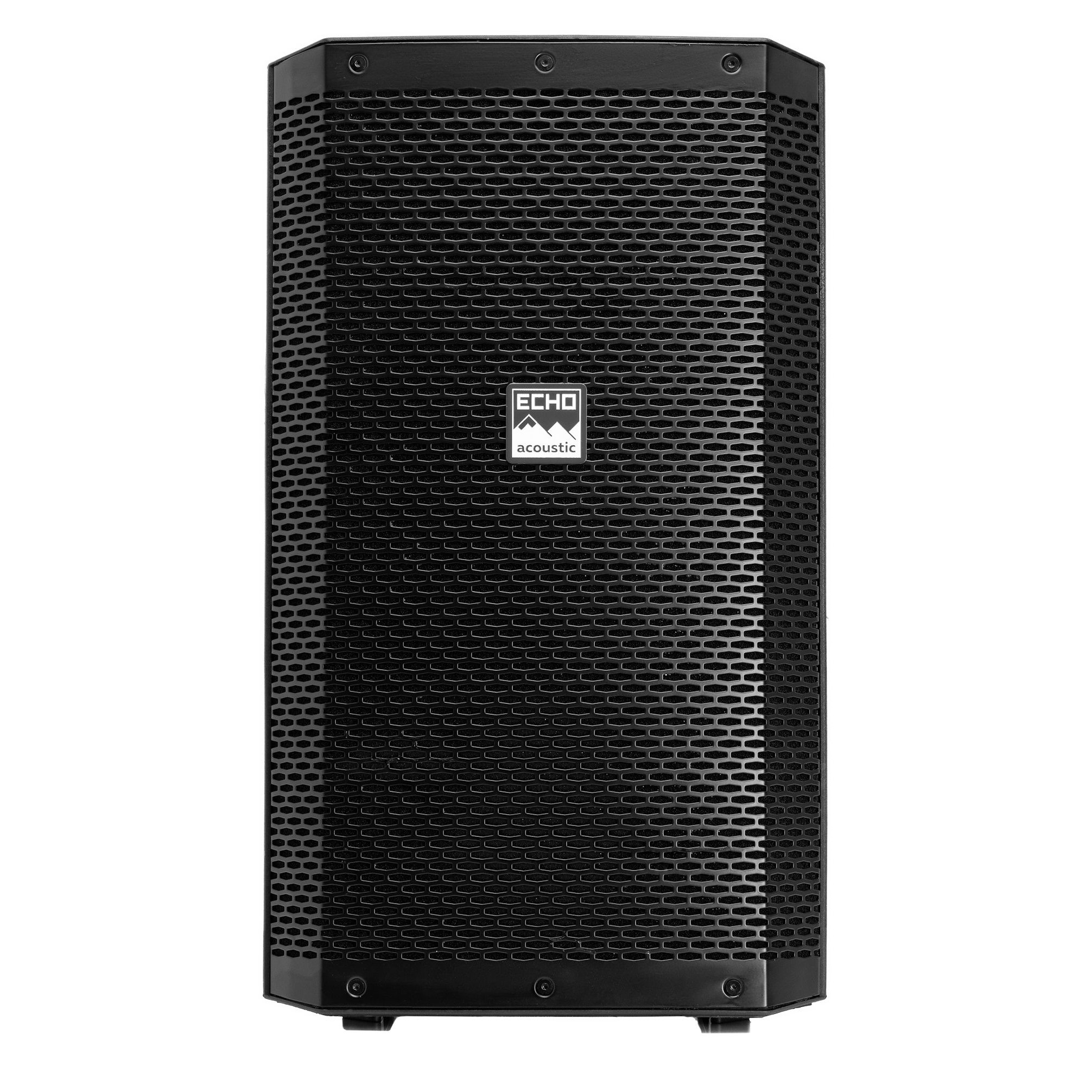 Echo Acoustic EX112P Echo Acoustic EX112P Клубная и концертная акустика