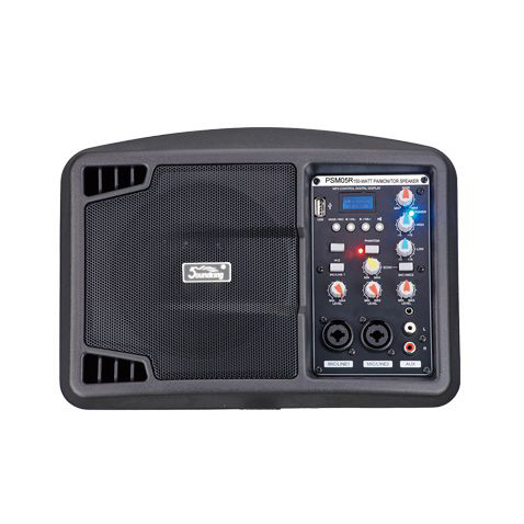 Soundking PSM05R Клубная и концертная акустика