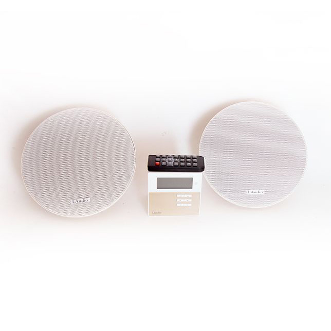 LAudio LAMX210S Трансляционное оборудование