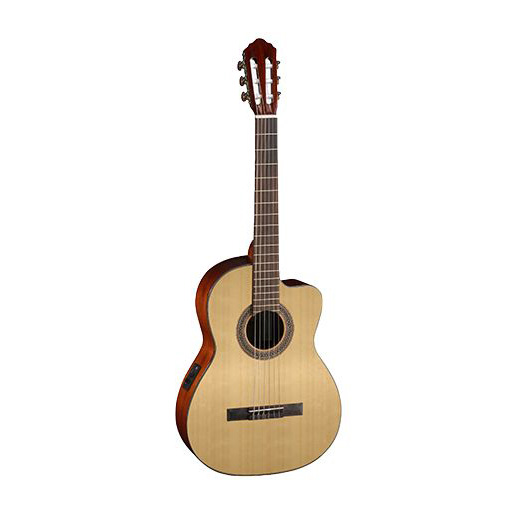 Parkwood PC110 Гитары акустические