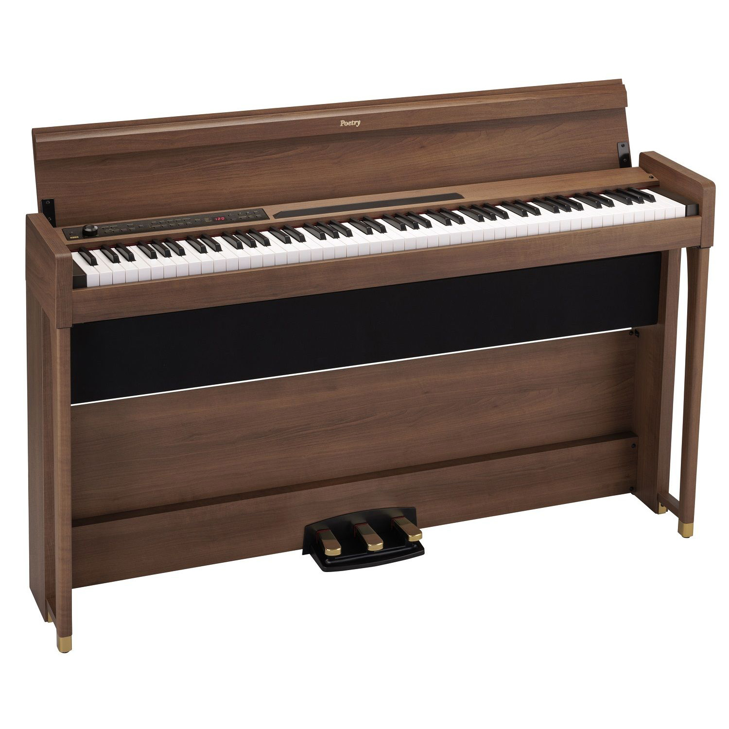 Korg POETRY Korg POETRY Цифровые пианино