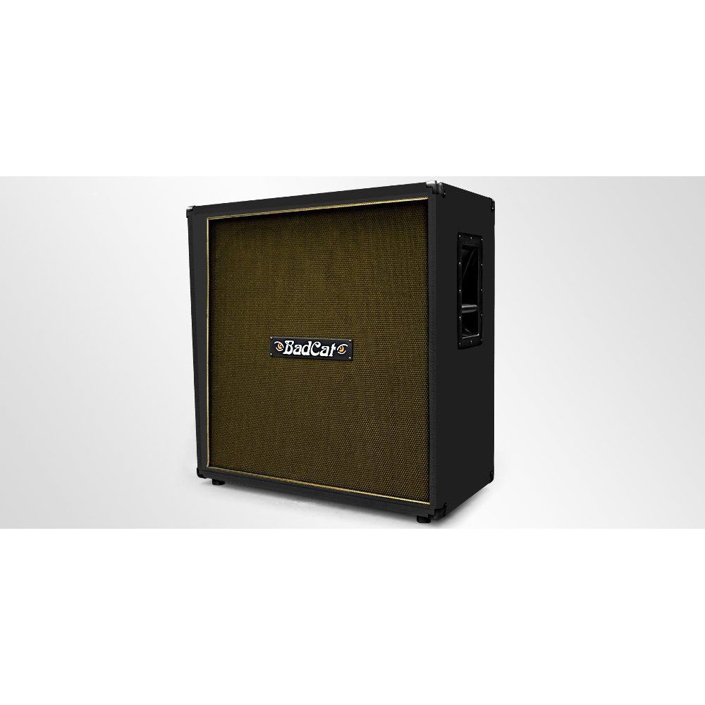Bad Cat 4x12 Extension Bad Cat 4x12 Extension Кабинеты для электрогитарных усилителей