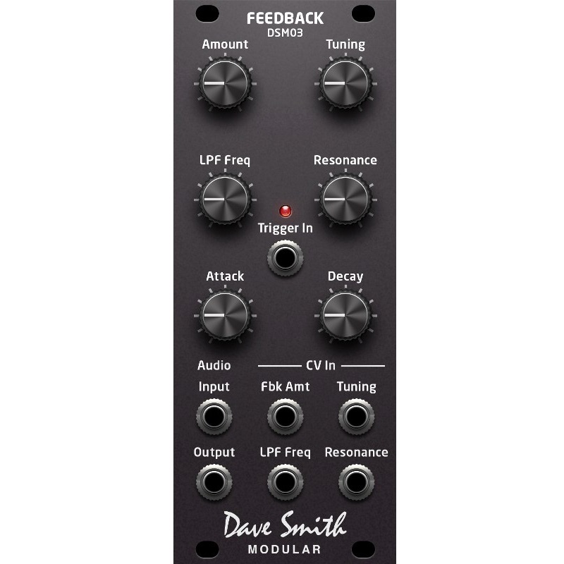 Dave Smith Instruments DSM03 Feedback Eurorack модули