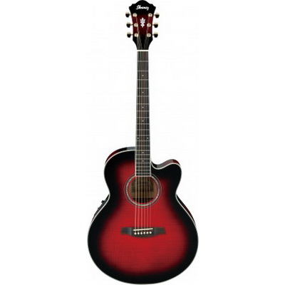 Ibanez AEL20E-TRS Гитары акустические