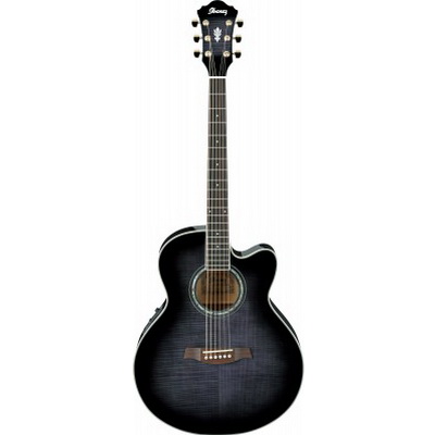 Ibanez AEL20E-TKS Гитары акустические