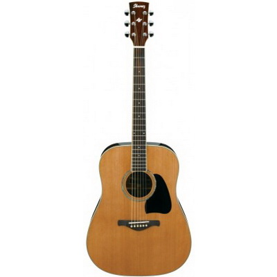Ibanez AW370-NT Гитары акустические