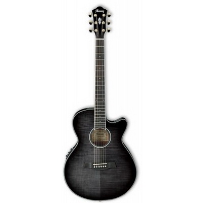 Ibanez AEG24II-TGB Гитары акустические