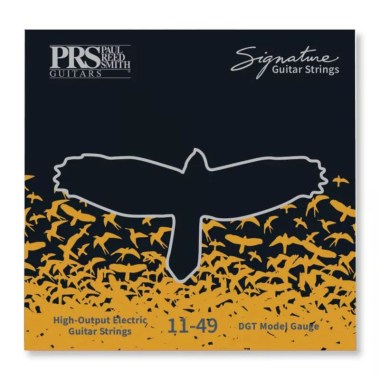 PRS Signature David Grissom Cтруны для электрогитар