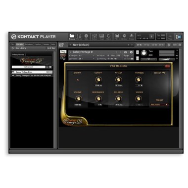 Best Service Galaxy Vintage D Цифровые лицензии