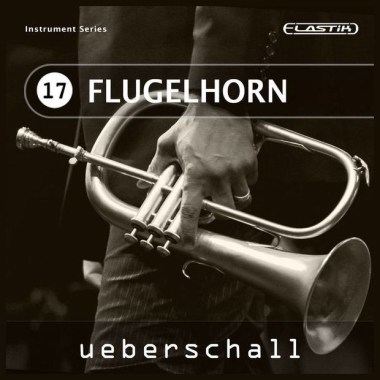 Ueberschall Flugelhorn Цифровые лицензии