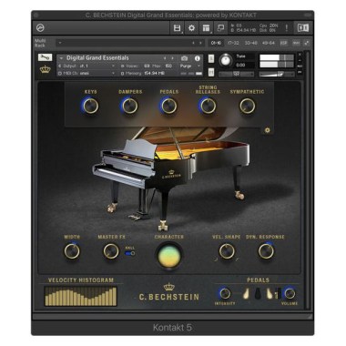 C. Bechstein Digital Grand Essentials Цифровые лицензии