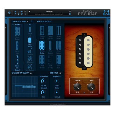 Blue Cat Audio Blue Cat's Re-Guitar Цифровые лицензии