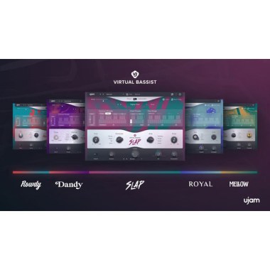 ujam Virtual Bassist Bundle 2 Цифровые лицензии