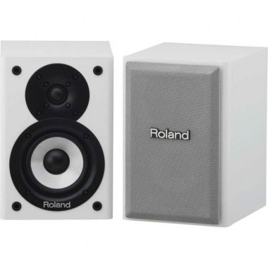 Roland Cube-Monitor-110-WH Оборудование гитарное