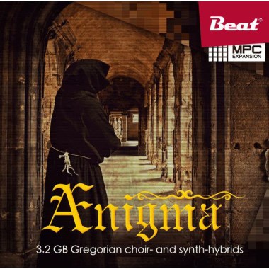 Beat Magazin Aenigma Цифровые лицензии