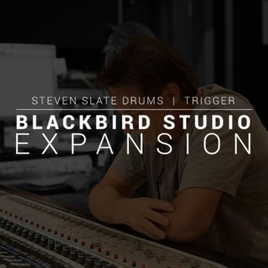 Steven Slate Audio Blackbird Studio SSD5 Exp. Цифровые лицензии