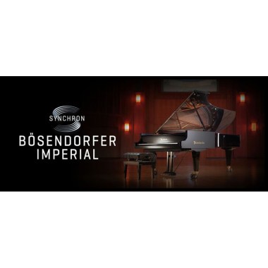 Vienna Symphonic Library B?sendorfer 290 Imperial Std. Цифровые лицензии