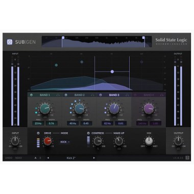 SSL SubGen Цифровые лицензии