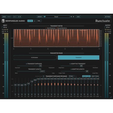 Newfangled Audio Punctuate Цифровые лицензии