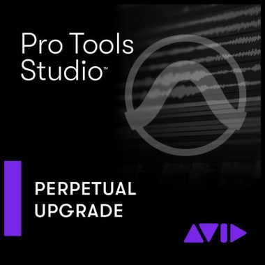 Avid Pro Tools Studio Perpetual UPG Цифровые лицензии