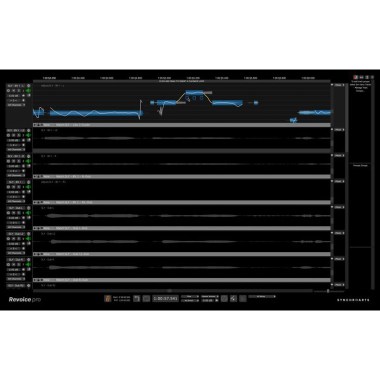 Synchro Arts Revoice Pro 5 Crossgrade Цифровые лицензии