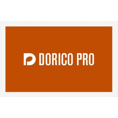 Steinberg Dorico Pro 5 Цифровые лицензии