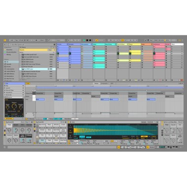 Ableton Live 12 Standard Цифровые лицензии