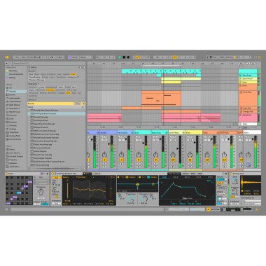Ableton Live 12 Suite UPG Lite Цифровые лицензии