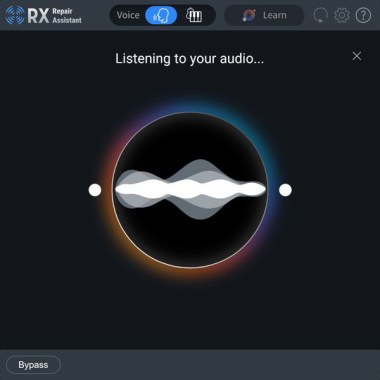 iZotope RX 11 Elements Цифровые лицензии