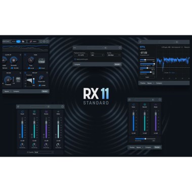 iZotope RX 11 Standard EDU Цифровые лицензии