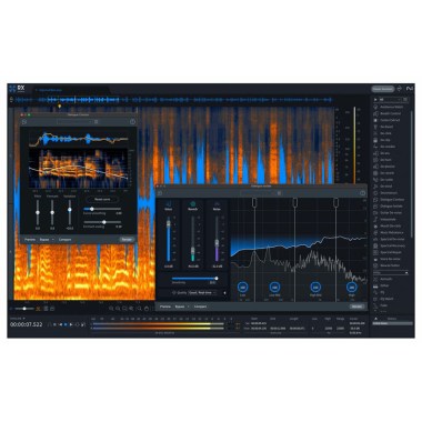 iZotope RX 11 Advanced Crossgrade Цифровые лицензии