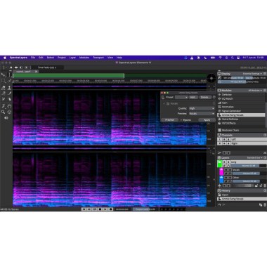 Steinberg SpectraLayers Elements 11 Цифровые лицензии