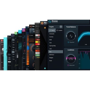 iZotope Music Production Suite 7 CG Цифровые лицензии