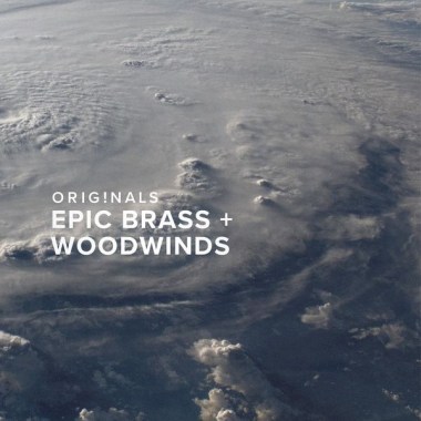 Spitfire Audio Orig. Epic Brass and Woodwinds Цифровые лицензии