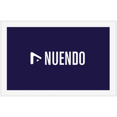 Steinberg Nuendo 14 Цифровые лицензии