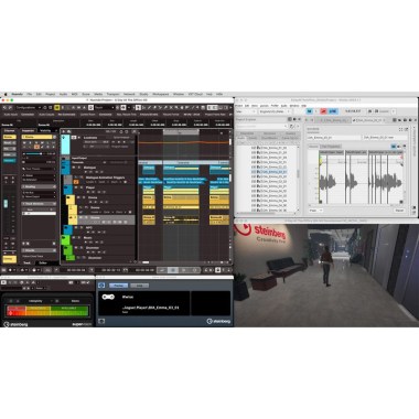 Steinberg Nuendo 14 Цифровые лицензии