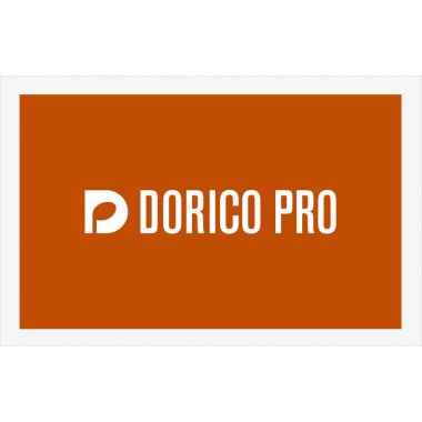 Steinberg Dorico Pro 6 EDU Цифровые лицензии
