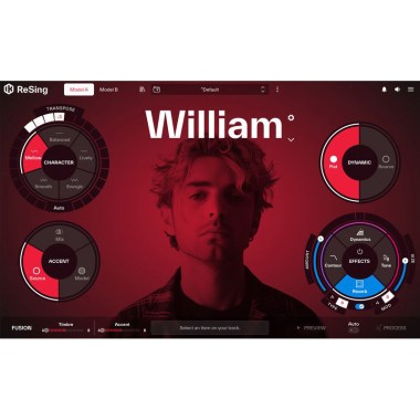 IK Multimedia ReSing Цифровые лицензии