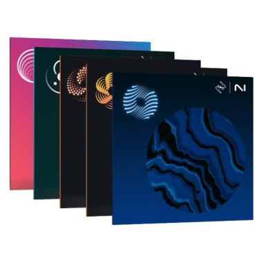 iZotope Mix & Master Bundle Advanced Цифровые лицензии