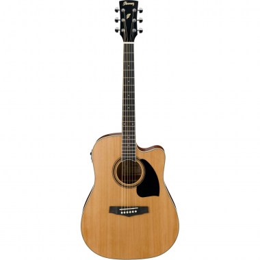 Ibanez PF17ECE-LG DREADNOUGHT Гитары акустические