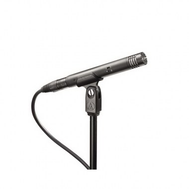 Audio-Technica AT4021 Конденсаторные микрофоны
