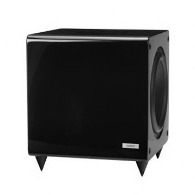 Tannoy TS 2.10 - H/G Black Клубная и концертная акустика