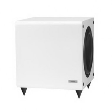 Tannoy TS 2.10 - H/G White Клубная и концертная акустика