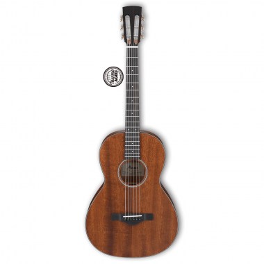 Ibanez ArtWood AVN9-OPN Гитары акустические