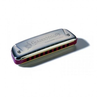 Hohner Golden Melody 542/20 E (M542056X) Губные гармошки
