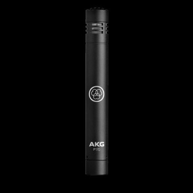 AKG P170 Конденсаторные микрофоны