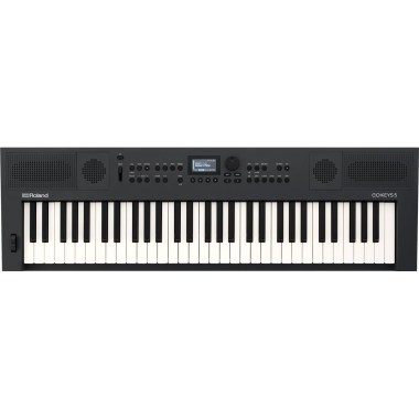 Roland GO:KEYS-5-GT Цифровые пианино