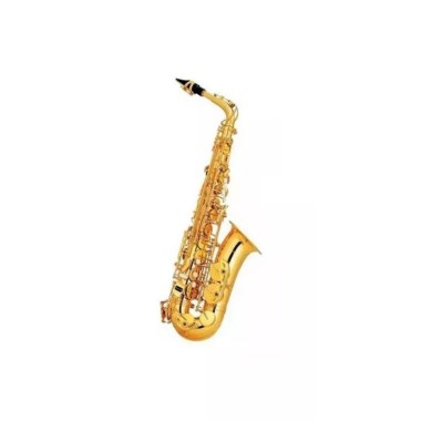 Pierre Cesar JBAS-200GL Альт-саксофоны