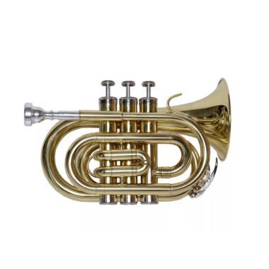 Pierre Cesar JBMT-500L Трубы и прочие духовые