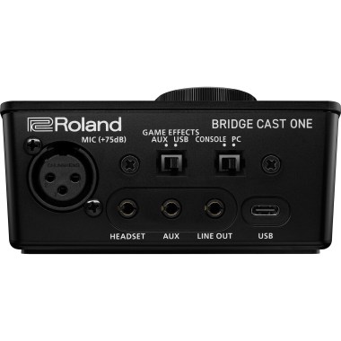 Roland BRIDGE CAST ONE Различное Музыкальное Оборудование